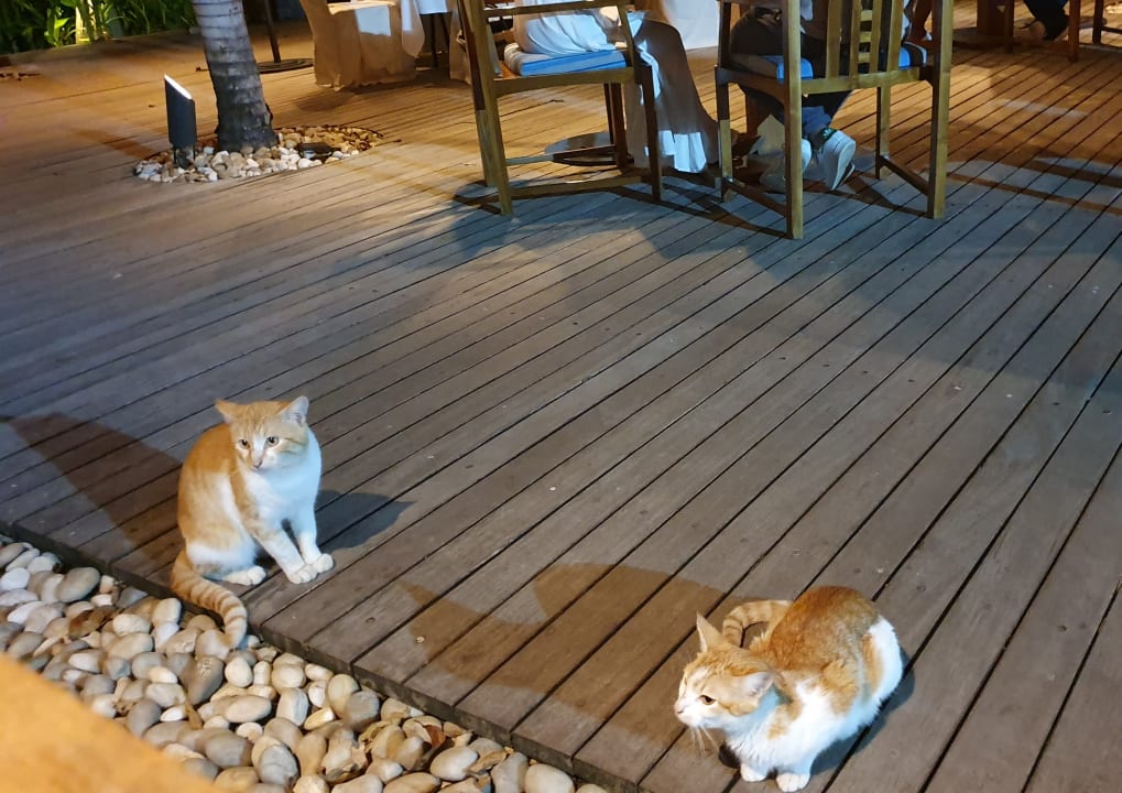 Sonstiges Sands Suites Resort & Spa