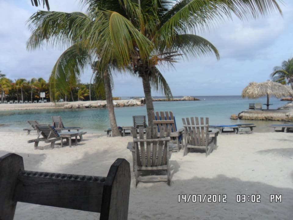 Aussicht beim Frühstück LionsDive Beach Resort