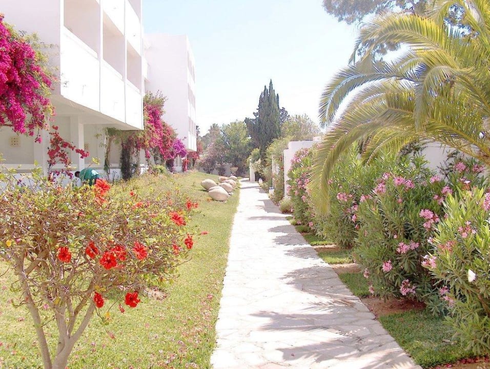 Der Weg zu den Bungalows The Orangers Beach Resort and Bungalows