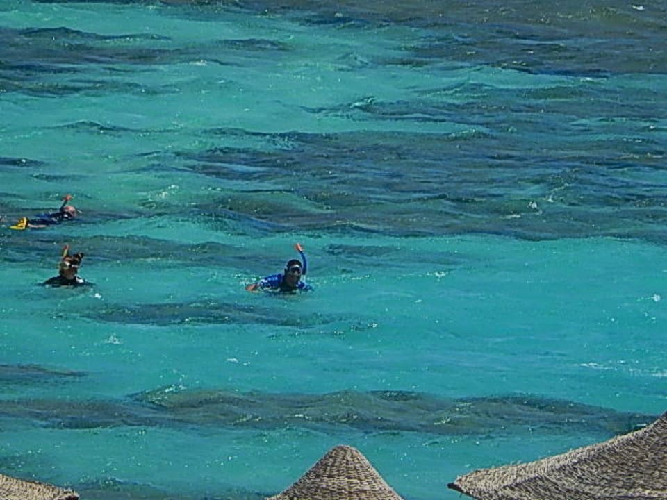 Innenriff Fantazia Resort Marsa Alam
