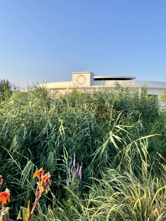 Gartenanlage Jiva Beach Resort