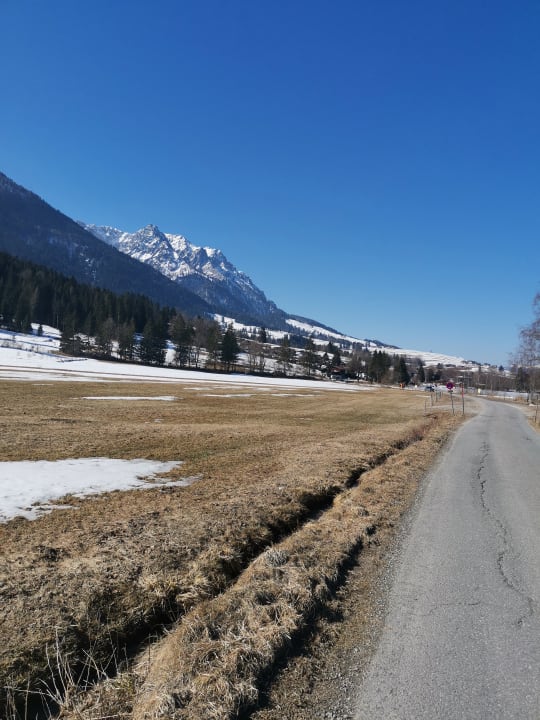 Ausblick Hotel Bellevue am See