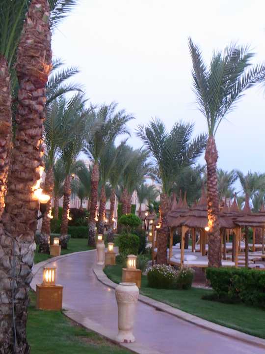Abend Pickalbatros Palace Resort