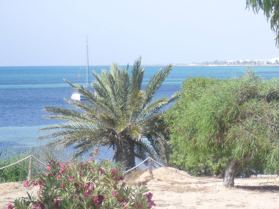 Wunderbarer Ausblick von unserem Zimmer aus Hotel El Mouradi Djerba Menzel