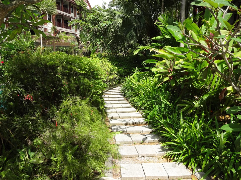 Poollandschaft Kata Palm Resort & Spa