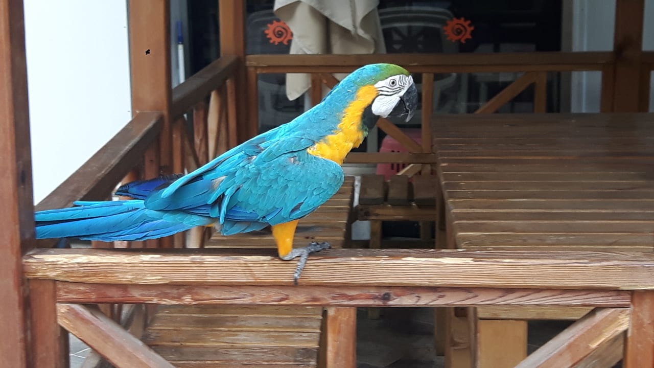 Sonstiges Sunmelia Beach Resort