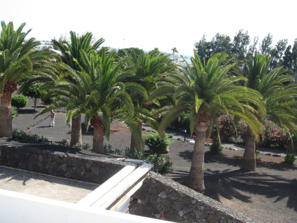 Gartenanlage - Übersicht Relaxia Olivina