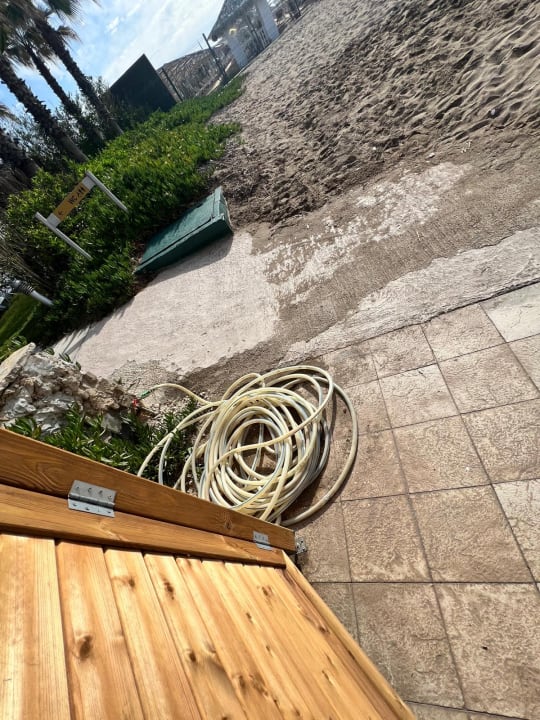 Gartenanlage Saturn Palace Resort Hotel