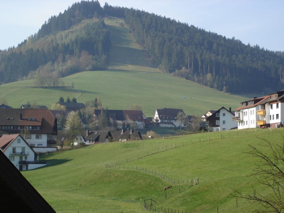 Ausblick zum Hausberg Panoramahotel Berghof