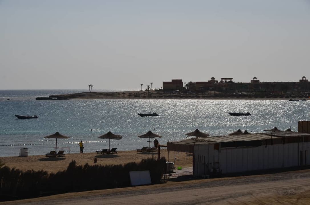 Widok hotelu (spacer po plaży) Malikia Resort Abu Dabbab