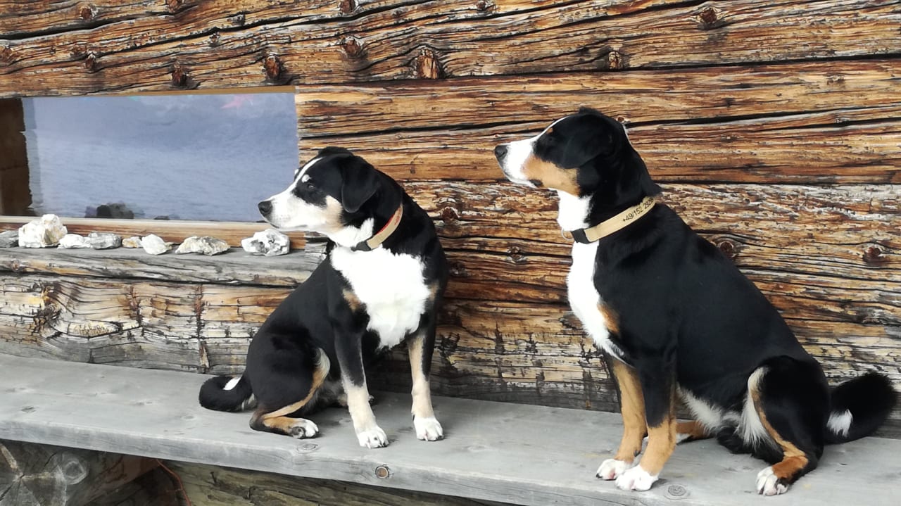 Außenansicht Ferienwohnung Camaner Ställi Gander