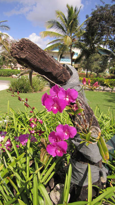 Garten Dreams La Romana Resort & Spa