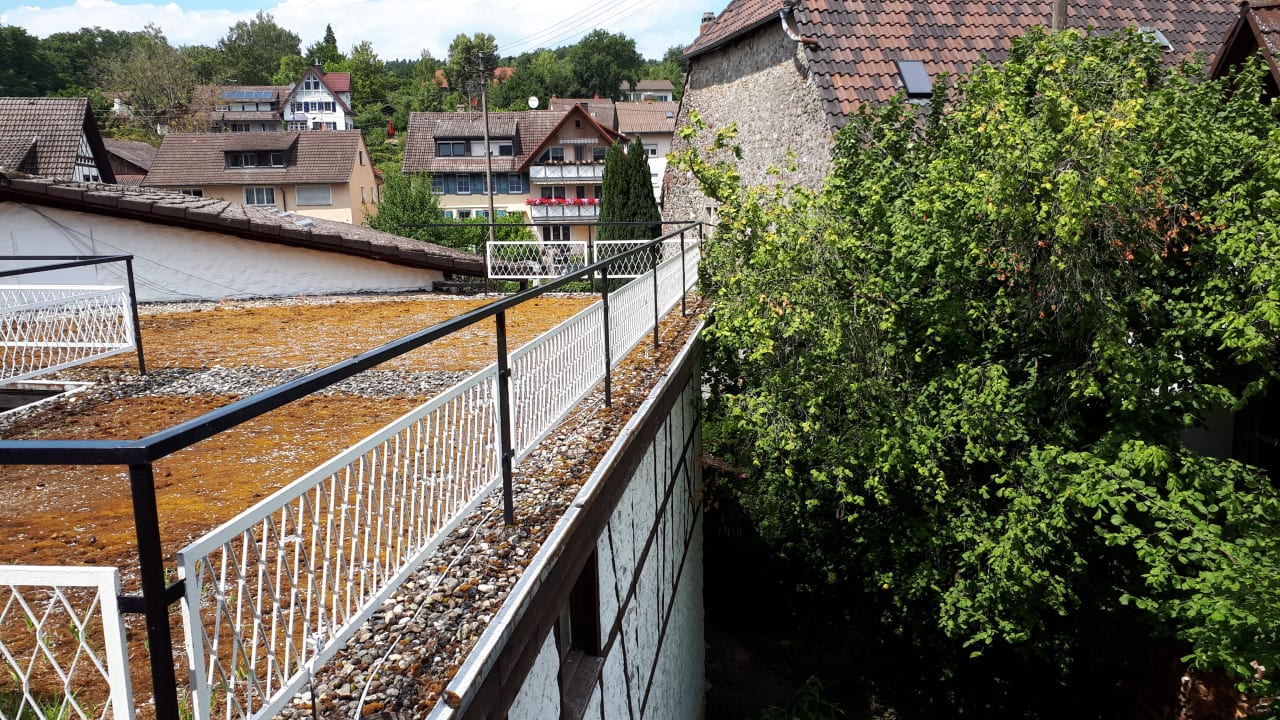 Zimmer Hotel Höri am Bodensee