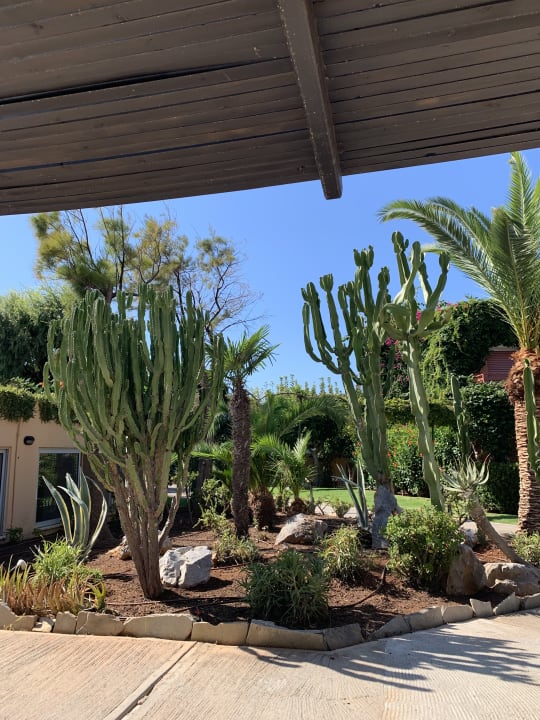 Garten Anissa Beach & Village