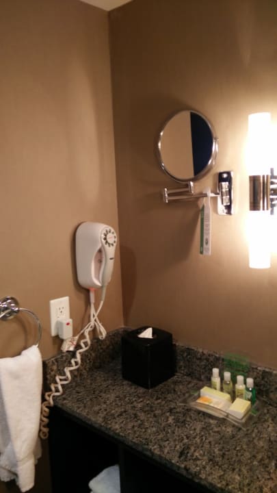 Zimmer Holiday Inn Toronto Downtown Centre