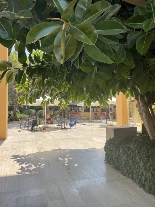 Gastro Asteria Collection Side