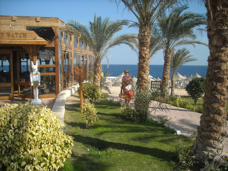 Restauracja Serenity Alpha Beach