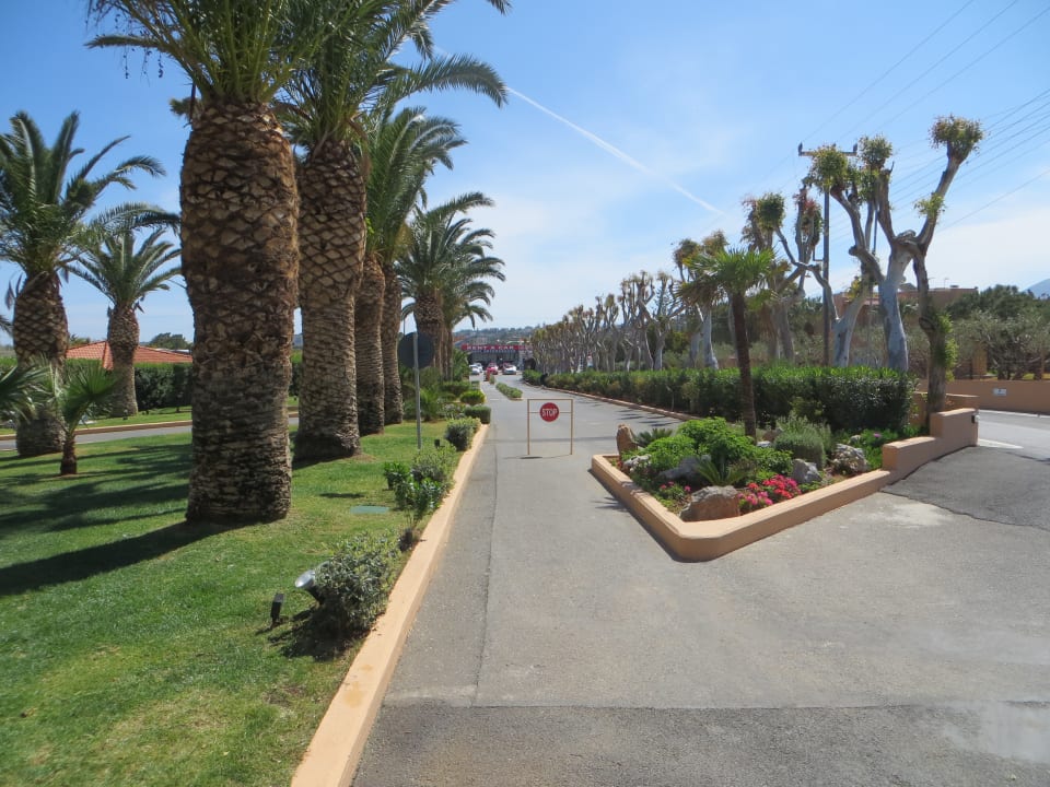 Der Eingangsbereich Anissa Beach & Village