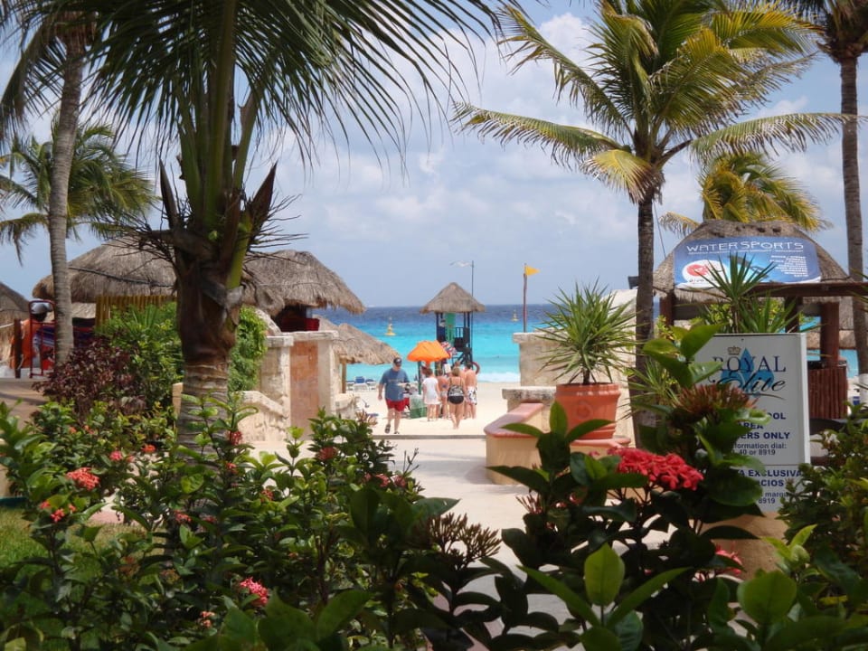 Einfach ein schönes Bild Sandos Playacar Beach Resort