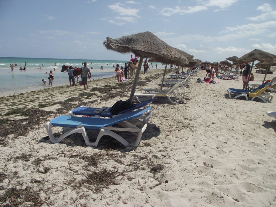 Strand Djerba Sun Beach Hotel & Spa