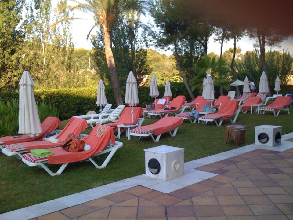 Gartenliegen Hotel Serrano Palace