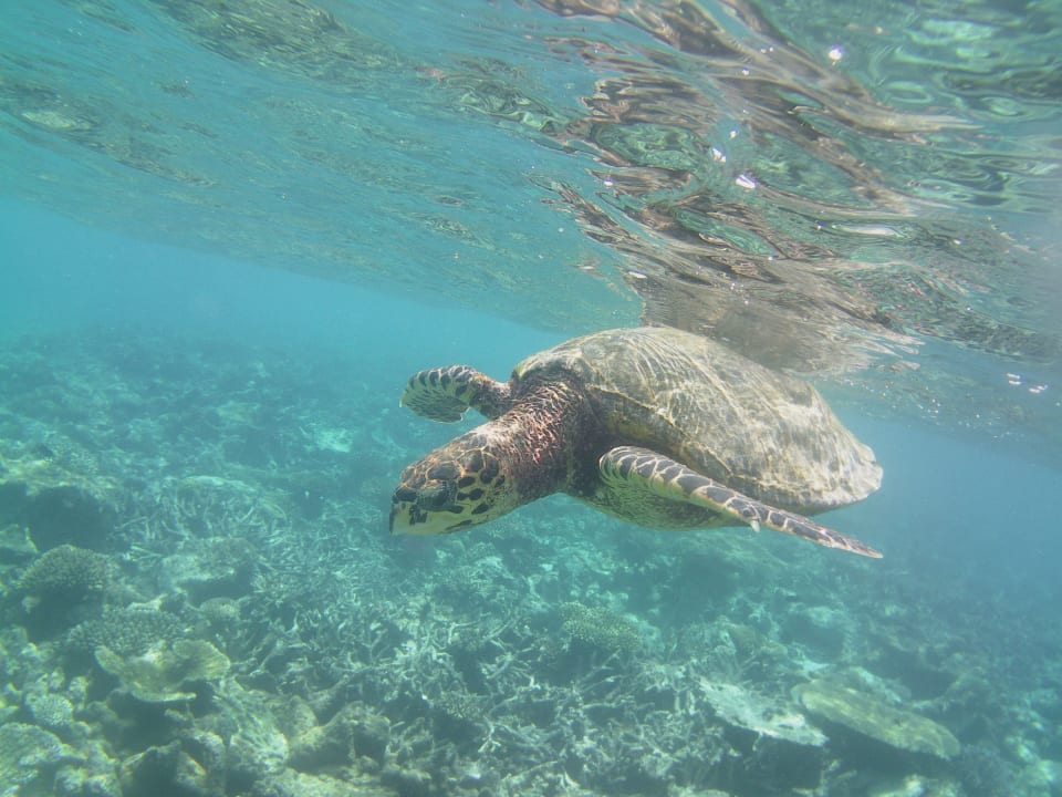 Sport & Freizeit NH Collection Maldives Havodda Resort