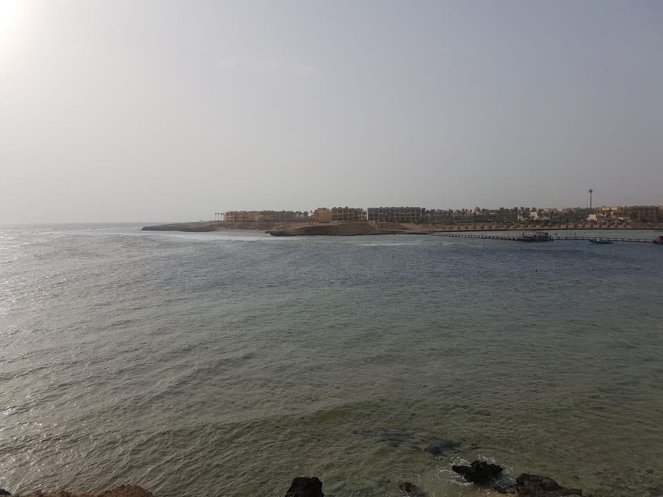 Meer direkt vor dem Zimmer Steigenberger Coraya Beach - Adults only