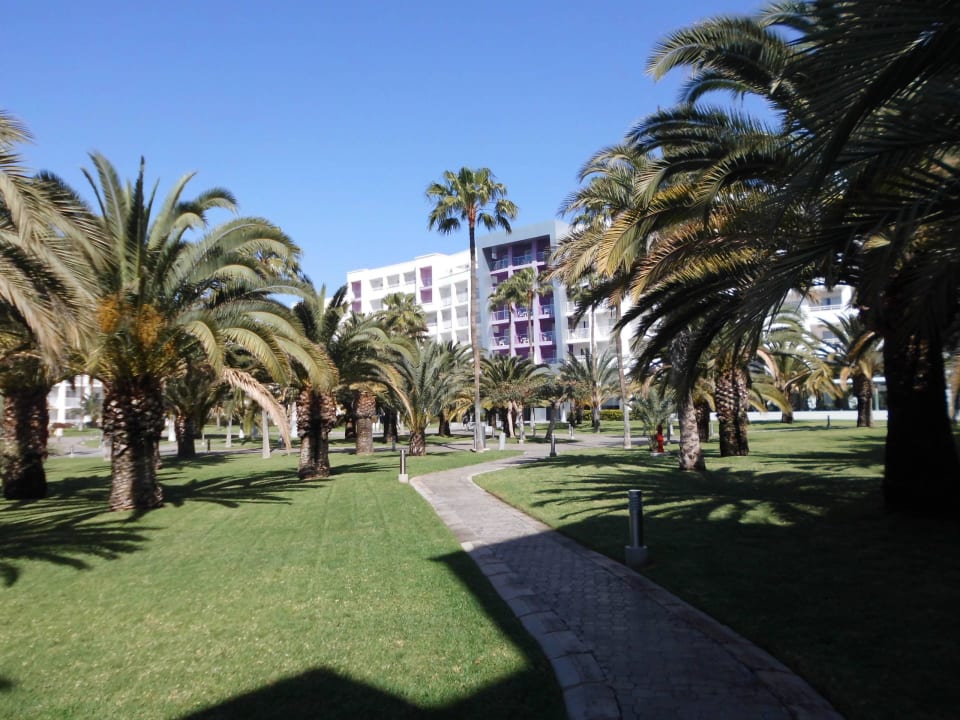 Gartenanlage Hotel Riu Gran Canaria