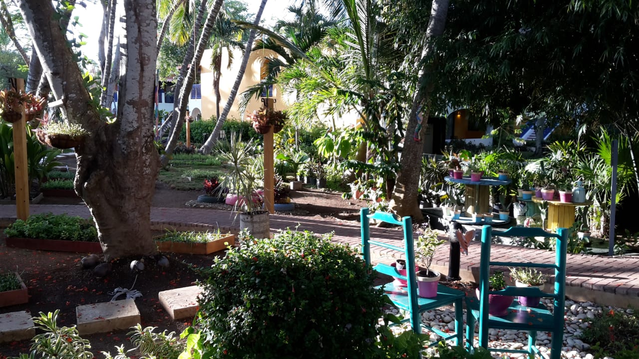 Gartenanlage Catalonia Royal La Romana - Adults only