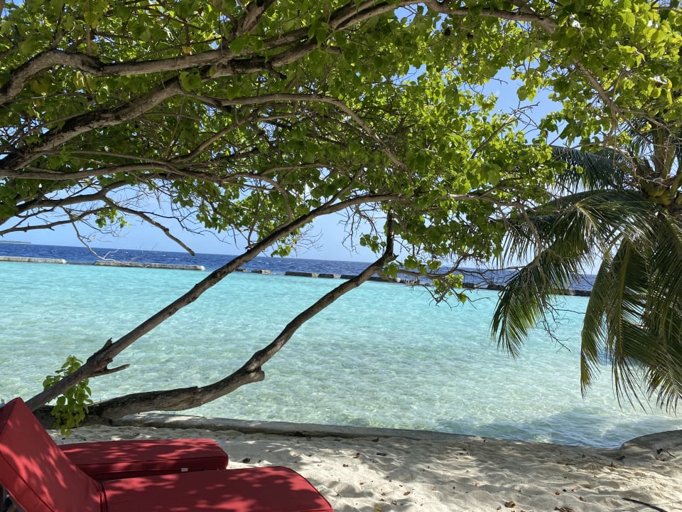 Strand Ellaidhoo Maldives by Cinnamon