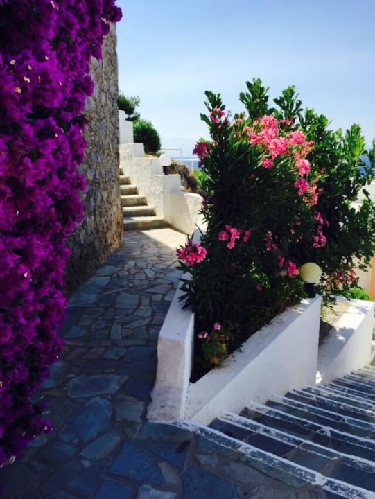 Location Dimitra Beach Hotel & Suites