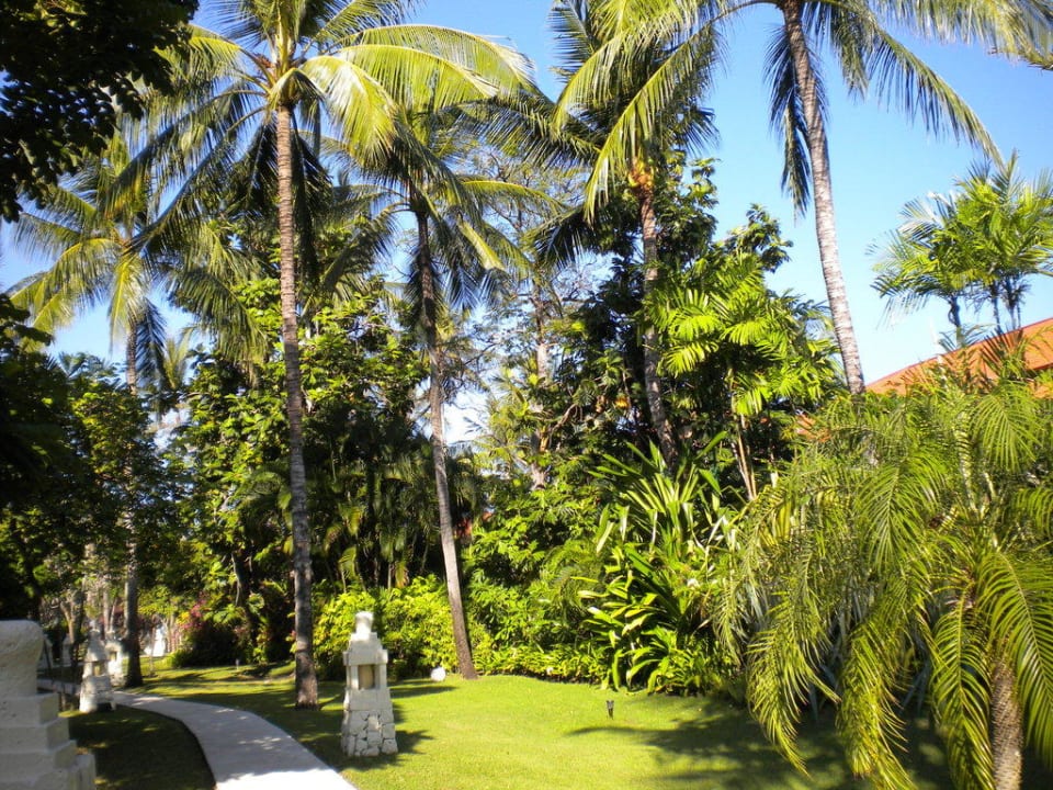 Palmen im Garten The Westin Resort Nusa Dua, Bali