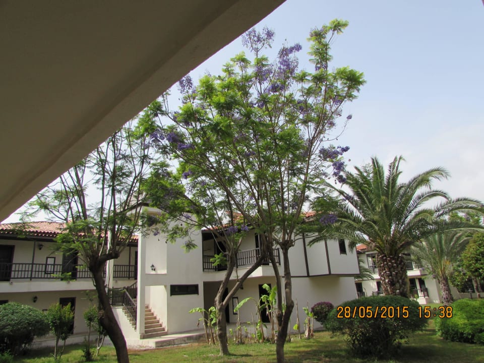 Anordnung der Bungalowanlagem mit tollen Garten Hotel Club Nena