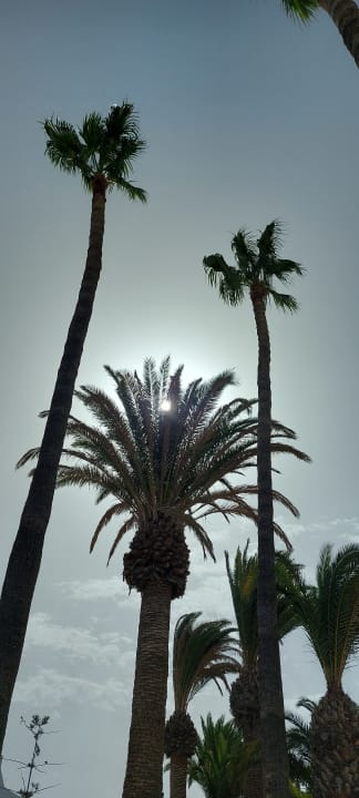 Ausblick Aparthotel Costa Mar