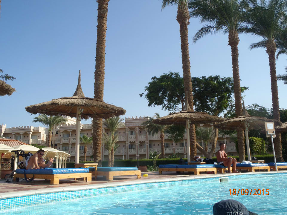 Pool Beach Albatros Resort