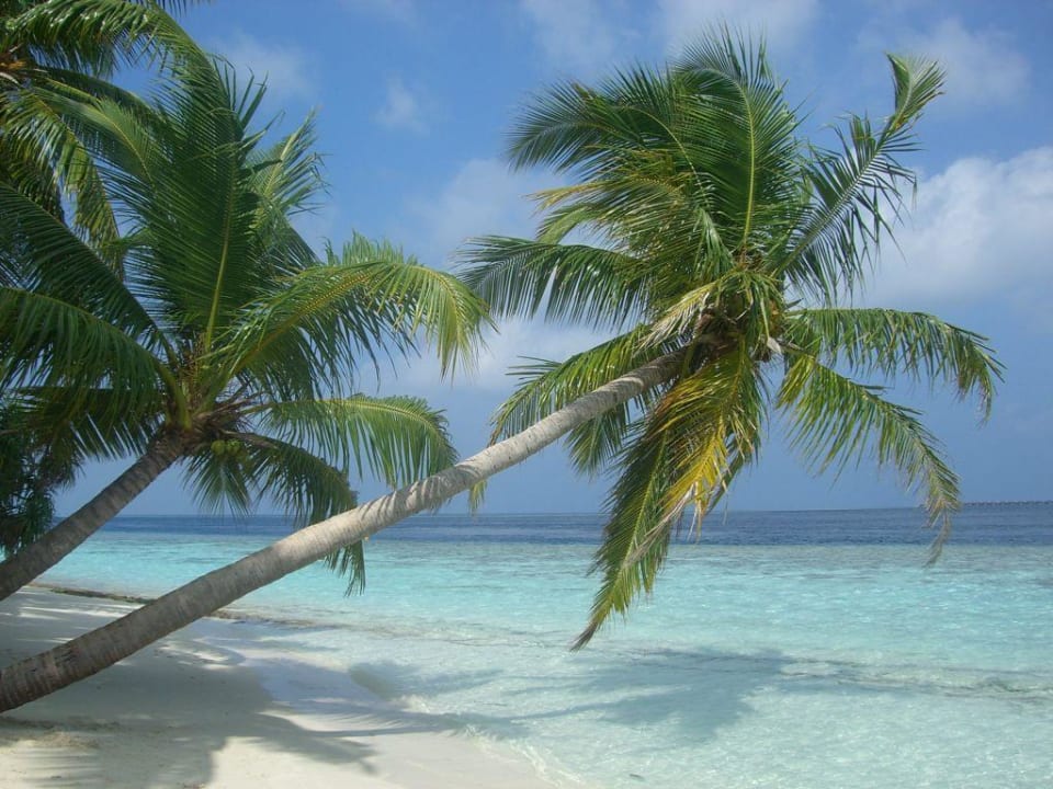 Palmen Vilamendhoo Island Resort & Spa