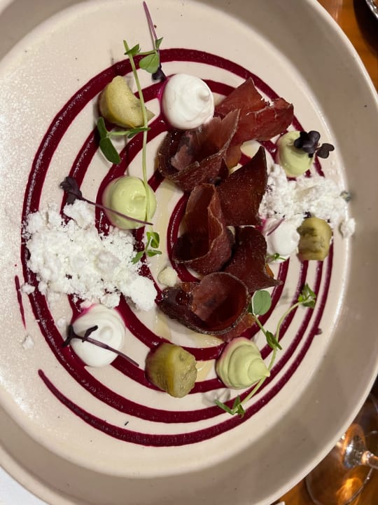 Gastro Acanthus Cennet Barut Collection