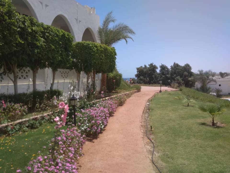 The Three Corners Equinox Beach Resort Three Corners Equinox Beach Resort