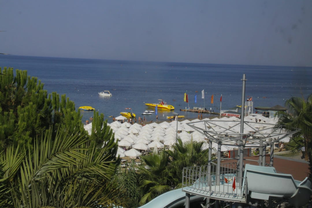 Vom Zimmer  PALOMA Perissia