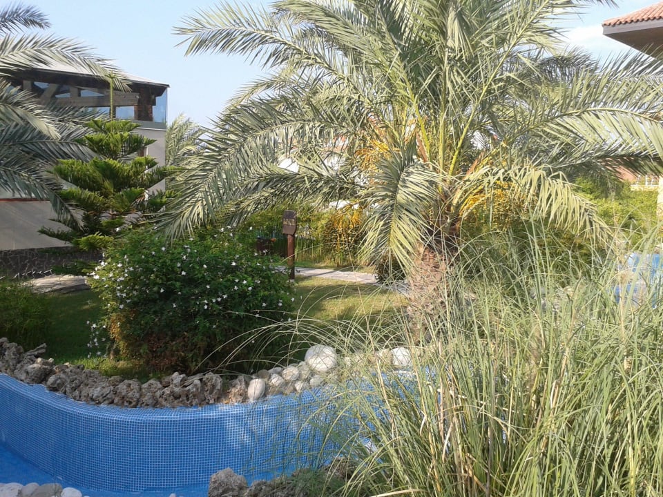 Garten Club Grand Aqua
