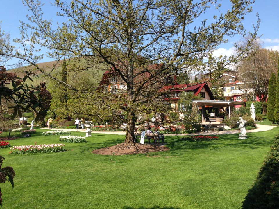 Gartenanlage Hotel Restaurant Rebstock Durbach