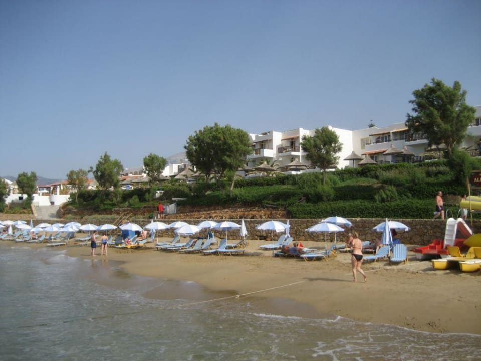 Der Starnd von Alexander Beach Alexander Beach Hotel & Village Resort