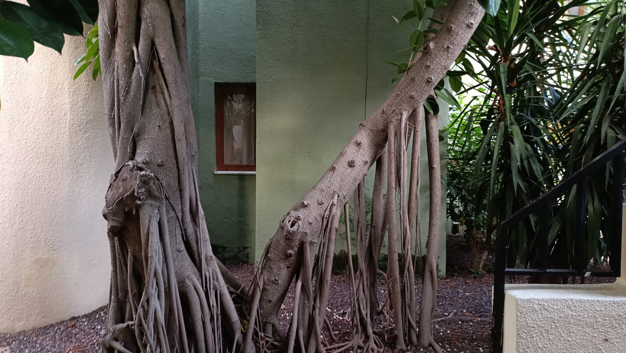 Gartenanlage VONRESORT Golden Beach