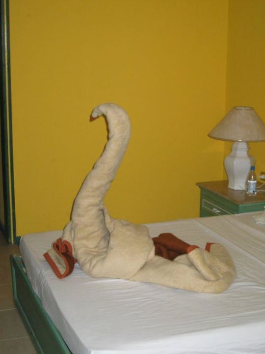 Hurghada Giftun Hotel Zimmer Giftun Azur Resort