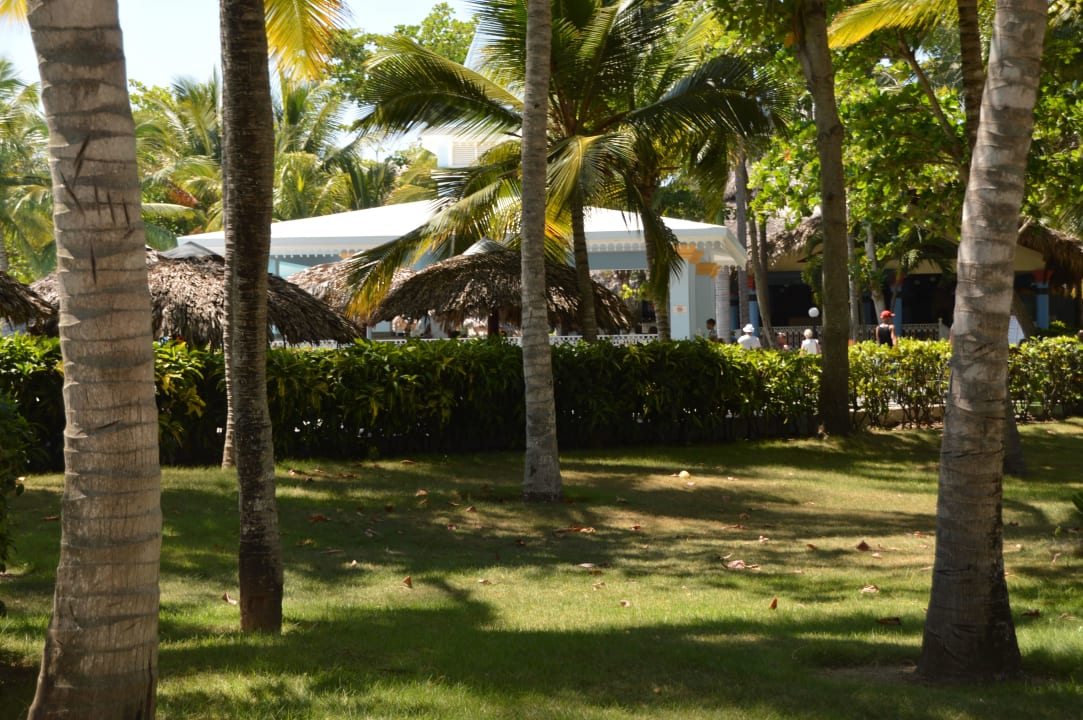 Bar Senator Puerto Plata Hotel