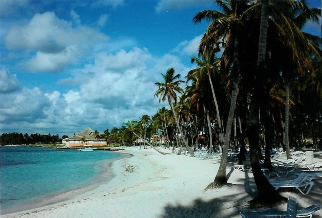 Spiaggia Club med Punta Cana Club Med Punta Cana