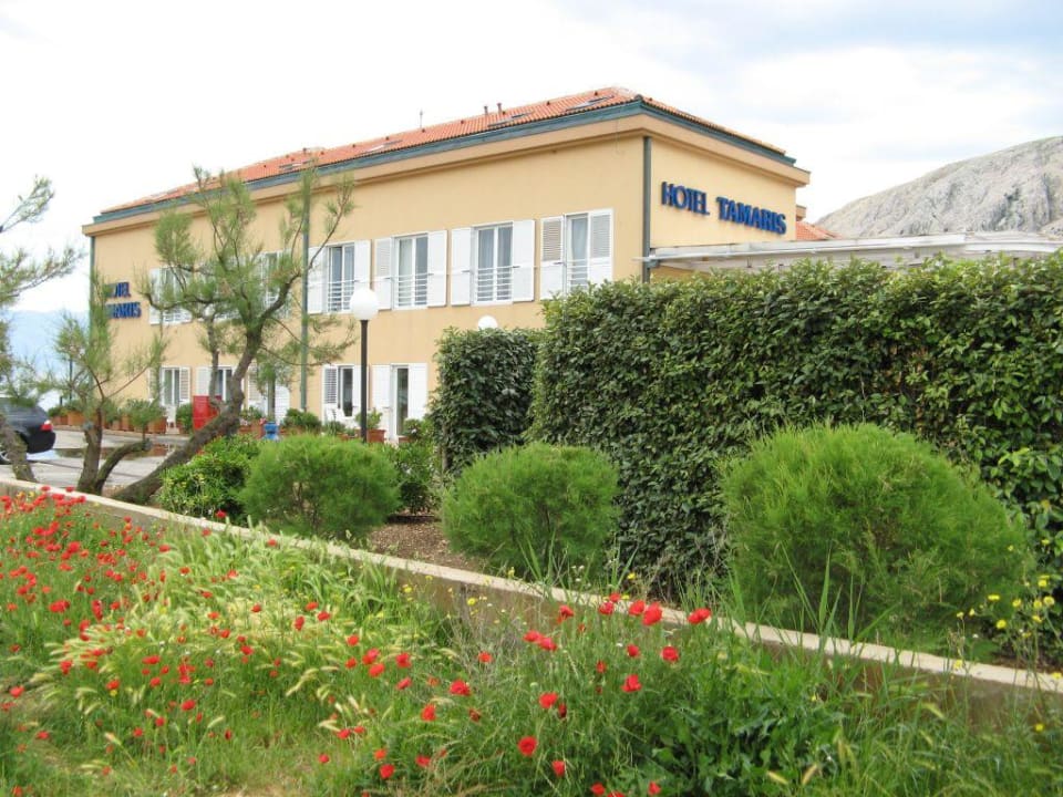 das Hotel von der Seite Hotel Tamaris