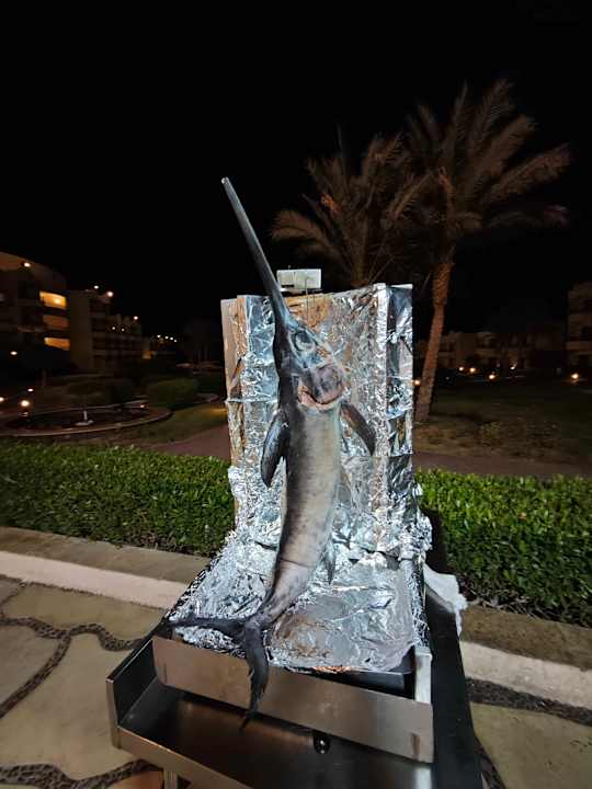 Gartenanlage Coral Hills Resorts & SPA