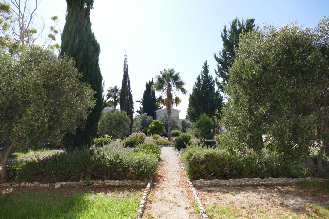 Gartenanlage Hotel Natura Beach