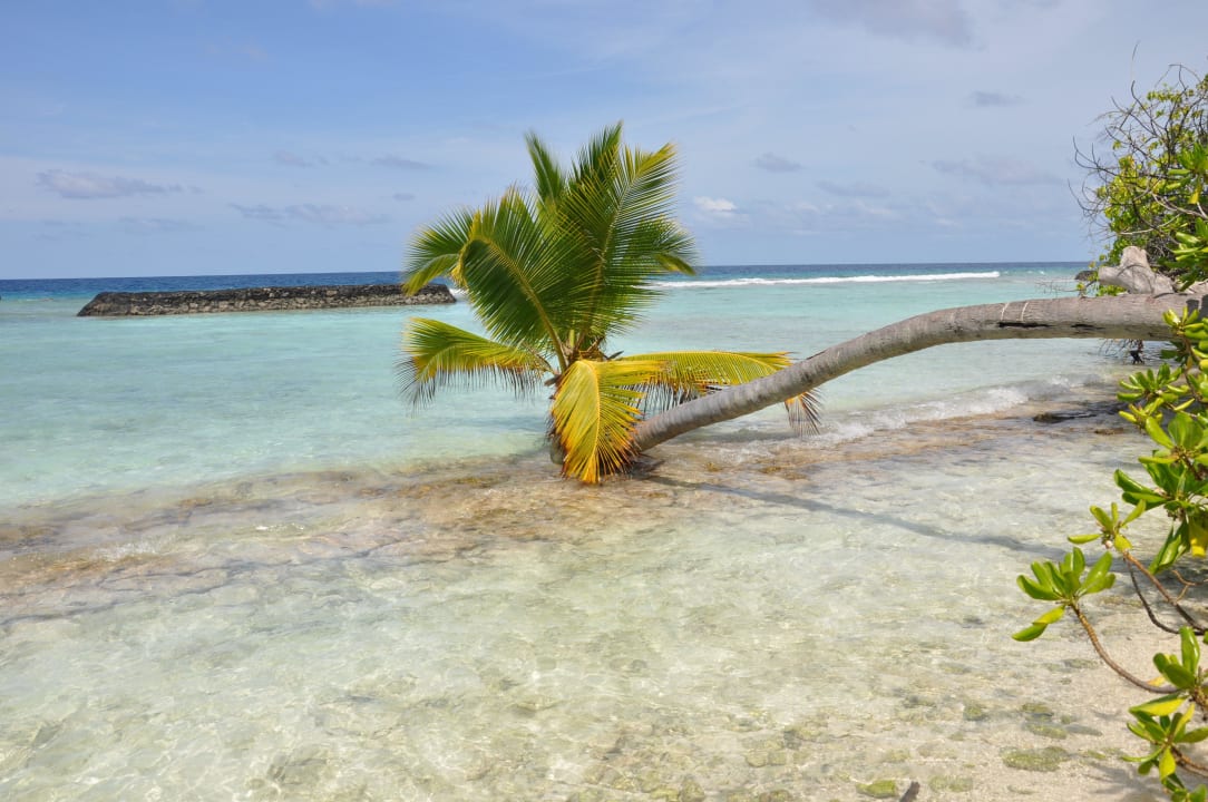 Postkartenmotiv Kuramathi Maldives